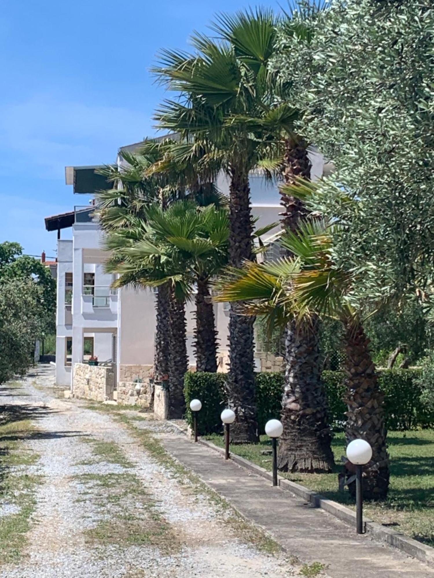 Villa Evita , Penthouse, 53M2 ,Athytos 450M From The Beach Afytos Exterior photo